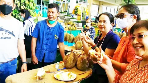 ห้างดังหัวหิน เอาใจคอทุเรียน จัดเทศกาลทุเรียนป่าละอู ขาย กก.ละ 270 บาท