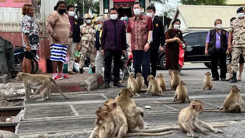 ส.ส.ลพบุรีเขต 1 ขอจัดระเบียบลิงก่อนเมืองร้าง ผู้ว่าฯ นำบวงสรวงขอเจ้าพ่อพระกาฬ