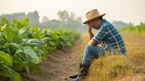 ทุกข์ชาวนาทุกข์ของแผ่นดิน