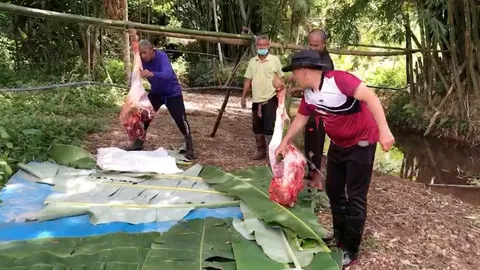 ชาวไทยมุสลิมที่ อ.เบตง ทำกุรบานแจกจ่ายเนื้อวัวแก่ผู้ยากไร้ ในวันอีดิ้ลอัฎฮา