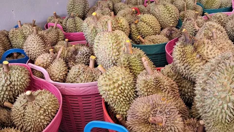 เสี่ยงสั่งลุย โปรโมชันระทึกใจ ทายน้ำหนักทุเรียนในถาดถูก เอาไปเลยไม่ต้องจ่าย