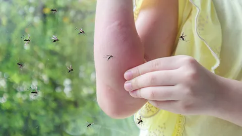 เปิดแผนปฏิบัติการศูนย์อีโอซีกรมควบคุมโรคสกัด "ไข้เลือดออก" แพร่ระบาด