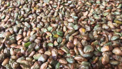 นักวิจัยแสงซินโครตรอน พบมะไฟจีนมีฤทธิ์ดีท็อกซ์ผิว ไลอ้อน เอาใส่เจลอาบน้ำแล้ว