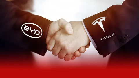 Tesla-BYD จับมือค่ายรถ EV 16 ราย ยุติสงครามตัดราคา หวั่นกระทบยอดขายในจีน