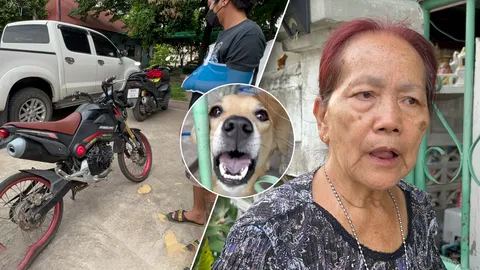 หมาวิ่งตัดหน้ารถ จยย.ล้มไหล่หลุด รถพัง ป้าวัย 74 โอดไม่มีเงิน ขอผ่อนจ่ายเดือนละ 100