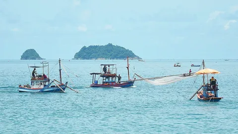 เรือช้อนเคย วิถีชาวเกาะช้าง