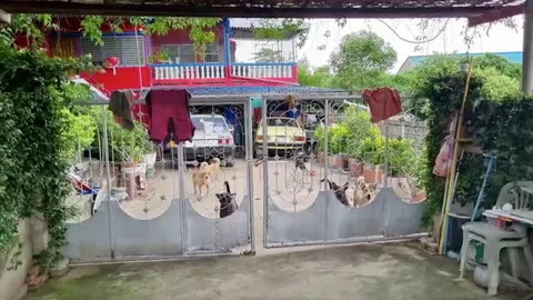 สลด ยายตายอืด 3 วัน หมา 30 ตัว อดข้าว-น้ำ นอนเฝ้า เผยสั่งมอบต่อให้วัด