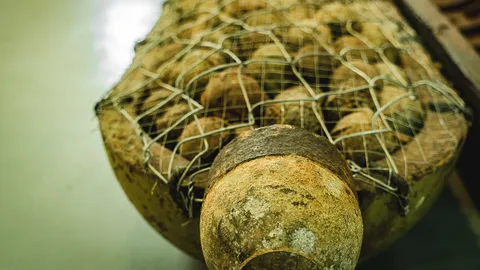 เหตุผลการให้ระเบิดพวง