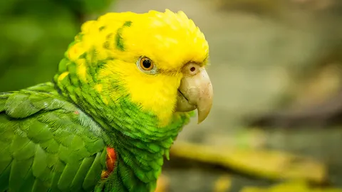 ต้นตอเสียงปริศนา