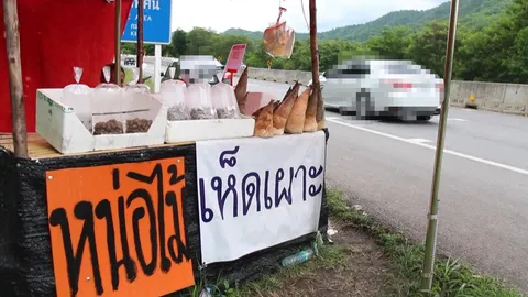 เจ้าของร้านไม่รู้จัก สาวโชว์นมขายเห็ดเผาะทางขึ้นเขาค้อ คาดแอบมาถ่ายตอนร้านปิด