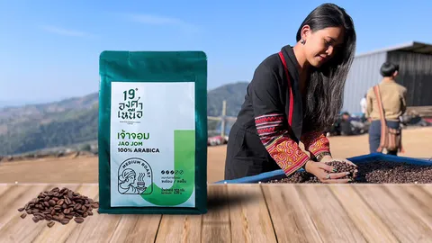 '19 องศาเหนือ' จากต้นจนสู่จิบ ที่เชื่อว่ากาแฟไทย มีดีมากกว่าแค่ชื่อ