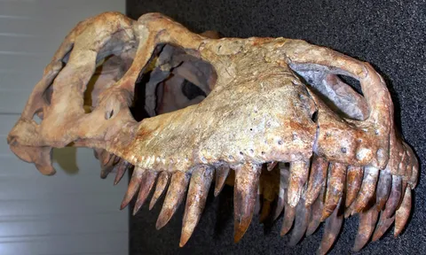 โลกาภิวัตน์ 26/06/55