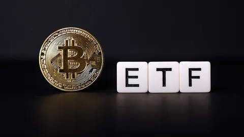 โอกาสและความเสี่ยง Spot Bitcoin ETFs แม้จะช่วยเพิ่มสภาพคล่องในตลาด แต่ยังมีจุดน่ากังวล 