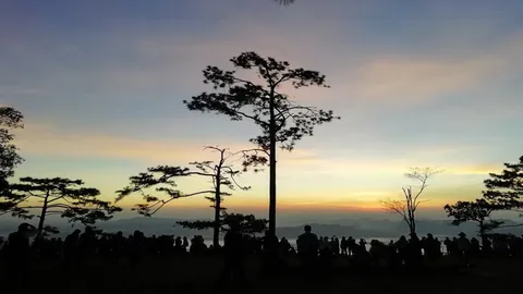 ไทยเสนอ 3 พื้นที่ขึ้นอุทยานมรดกอาเซียน “ภูเขียว-น้ำหนาว-ภูกระดึง”