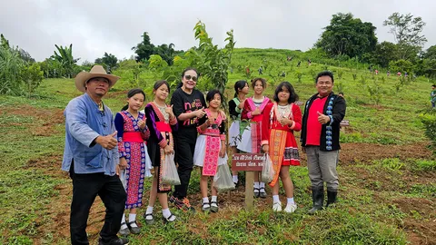 ชม “ซากุระแท้” ที่ร่องกล้า