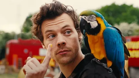 “Harry Styles” เอนเนอร์จี้เกินล้าน บทบาทนักละครสัตว์ใน MV “Daylight”