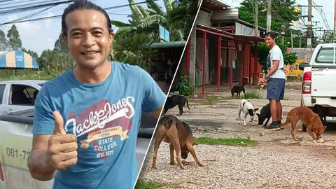 พระเอกตัวจริง แอนดี้ วัชระ ขับรถให้อาหารน้องหมา ทำมา 15 ปี (คลิป)