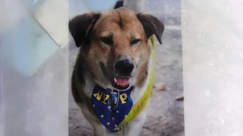 คุก 6 เดือน สตท.โหด อุ้มฆ่า “เตี้ย มช.” ศาลไม่รออาญา แฟนคลับเฮลั่น