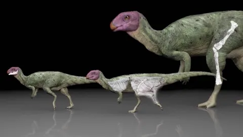 ค้นพบ "มินิโมเคอร์เซอร์ ภูน้อยเอนซิส" ไดโนเสาร์ชนิดใหม่ ตัวที่ 13 ของไทย