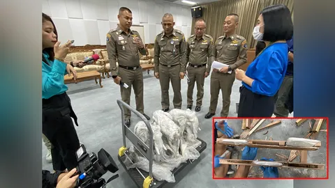จับผงขาว 