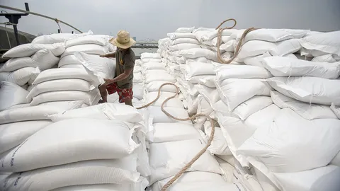 สินค้าเกษตรซมพิษ "เอลนีโญ" คาดผลผลิตลดส่งออกดิ่ง-จับตากระทบขนส่งน้ำ