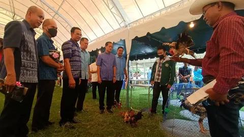 จ.ศรีสะเกษหนุนเลี้ยงไก่พันธุ์พื้นเมือง เพื่อกระตุ้นเศรษฐกิจ สร้างรายได้ยั่งยืน