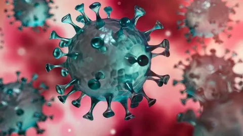 นักวิทย์จับตา พบเชื้อโควิดกลายพันธุ์มากสุดเท่าที่เคยพบมา ในอินโดนีเซีย