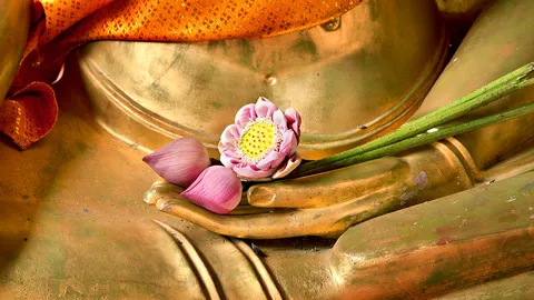 กฎไตรลักษณ์ทางการเมือง