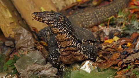 เรื่องเหี้ยๆ