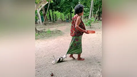 ใครเห็นก็เอ็นดู คลิปไวรัล "เจ้ามะปราง" สุนัขแสนซน กัดชายผ้าถุงยายไม่ปล่อย