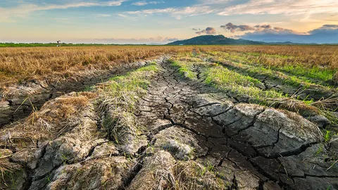 ไทยเผชิญภัยแล้ง ทำเสียหาย 5.3 หมื่นล้านบาท กระทบภาคเกษตร