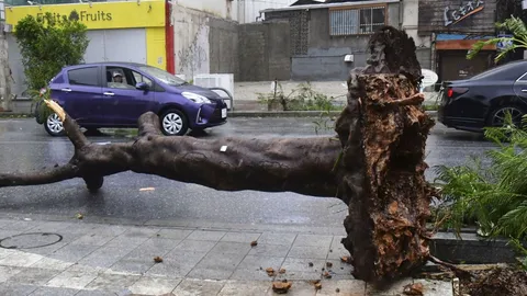 ไต้ฝุ่นขนุนเล่นงานญี่ปุ่น ไฟฟ้าดับกว่า 166,000 หลัง