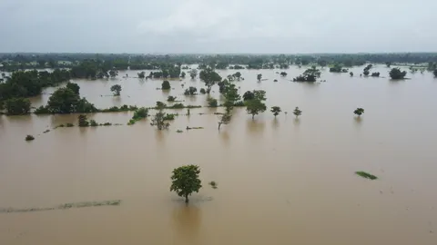 ฝนถล่มนครพนมทำน้ำโขงเพิ่มวันเดียวครึ่งเมตร นาข้าววิกฤติจมเสียหายหลายพันไร่
