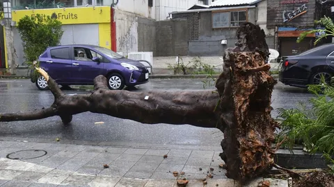 ไต้ฝุ่นขนุน คร่าแล้ว 2 ศพในญี่ปุ่น เจ็บอีก 62 คน-ฝนถล่มไต้หวัน