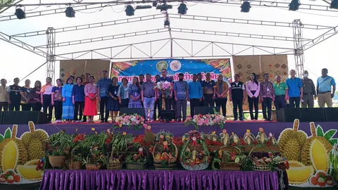 งานทุเรียนต้นน้ำมูลที่โคราช ให้เลือกซื้อทุเรียนครบุรี ชุดสุดท้ายของปี 2566