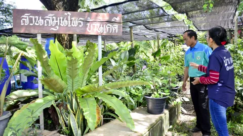 วิสาหกิจฯ เกษตรกรต้นแบบ ปลูกพืชผักปลอดภัย แปรรูปสมุนไพร เป็นรายได้เสริมชุมชน