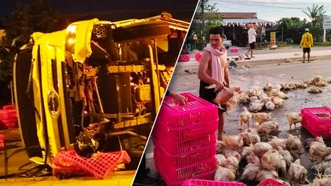 สลด 6 ล้อบรรทุกไก่เนื้อ 2 พันตัว พลิกคว่ำ เทกระจาด ทำตายเกลื่อนถนน