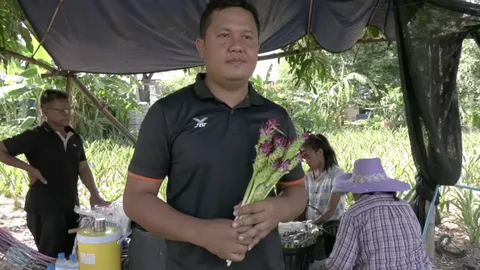 ผญบ.โคราช ปลูกกระเจียวหวานเป็นรายได้เสริม ใช้น้ำน้อย 3 เดือนขายได้หมื่นบาทต่อเดือน