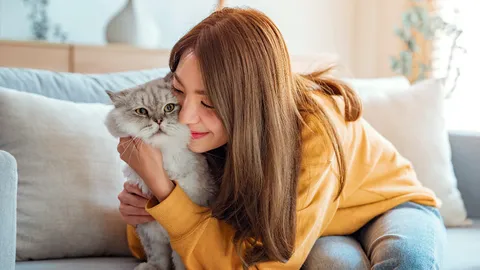 10 อาหารเสริมแมว ยี่ห้อไหนดี 2024 เสริมภูมิ บำรุงขน แมวแข็งแรง