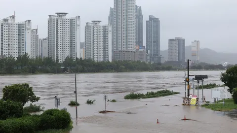 เกาหลีใต้สั่งยกเลิกเที่ยวบินและรถไฟความเร็วสูง หลังเจอพิษพายุขนุน