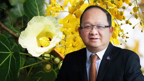 ส.อ.ท. ขานรับโครงการ “ต้นไม้” ไทยไปซาอุฯ หวังชิงส่วนแบ่งรายได้ส่งออกอย่างน้อย 2-3 แสนล้าน