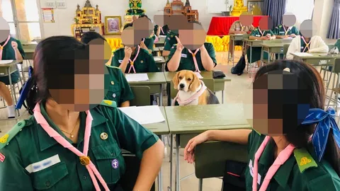 ตัวท็อปของห้อง ไวรัลดัง "พอตเตอร์" นักเรียนหน้าใหม่ ขวัญใจคนทั้งโรงเรียน