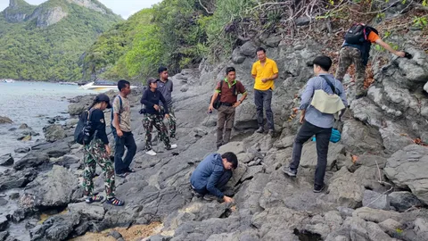 สำรวจ "ซากดึกดำบรรพ์ฟันฉลาม" สัตว์ทะเลโบราณ อุทยานแห่งชาติหมู่เกาะอ่างทอง