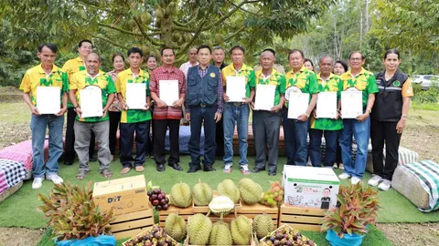 เกษตรสงขลาหนุนพัฒนา "ทุเรียนนาทวี" ให้มีคุณภาพ พร้อมมอบใบรับรองสวนมาตรฐาน GAP