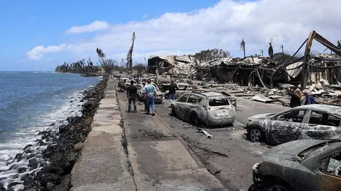 เหยื่อไฟป่าเกาะเมาวีพุ่ง 55 ศพ หายอีกอื้อ เมืองประวัติศาสตร์วายวอด