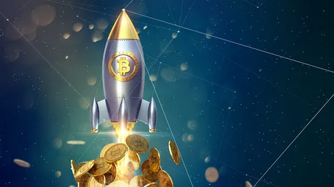 สตาร์ทอัพคริปโต ไม่มีโปรดักต์ ไม่มีลูกค้า มีแค่ไอเดีย ทำไมระดมทุนได้เป็นพันล้าน ท่ามกลางตลาดหมี?