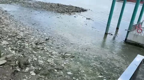 ตร.บางคอแหลม ตามหาญาติหญิงนิรนามลอยอืดตามแม่น้ำเจ้าพระยา เกยฝั่งถนนพระราม 3