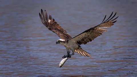 ถึงขั้นประกาศจับ