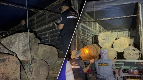 จับ "ขนไม้เถื่อน" ซัด "ดาบ น." สภ.จุน เคลียร์ได้ทุกด่าน จากน่าน ไปจนถึงอยุธยา (คลิป)