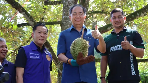 สถาบันปิดทองหลังพระฯ ช่วยชาวสวนทุเรียนชายแดนใต้ปรับปรุงคุณภาพ เพิ่มมูลค่า รายได้เพิ่มเท่าตัว